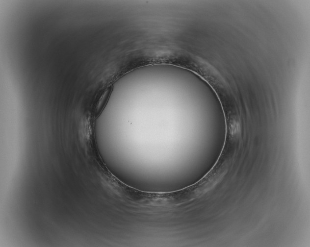 X0000115531204200911131458