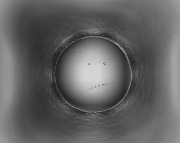 X0000115531205200911131458