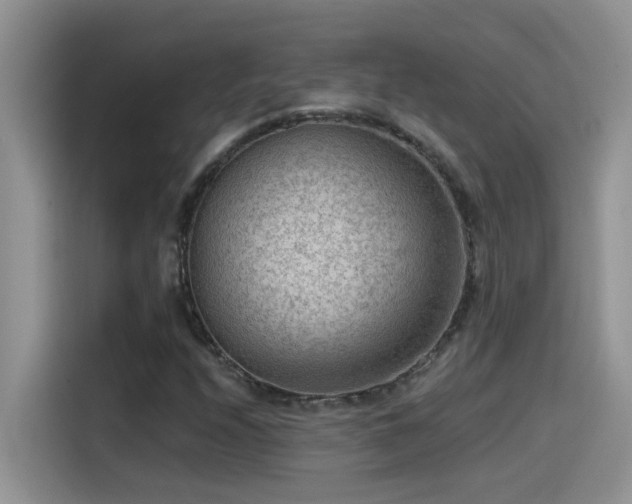 X0000115531208200911131458