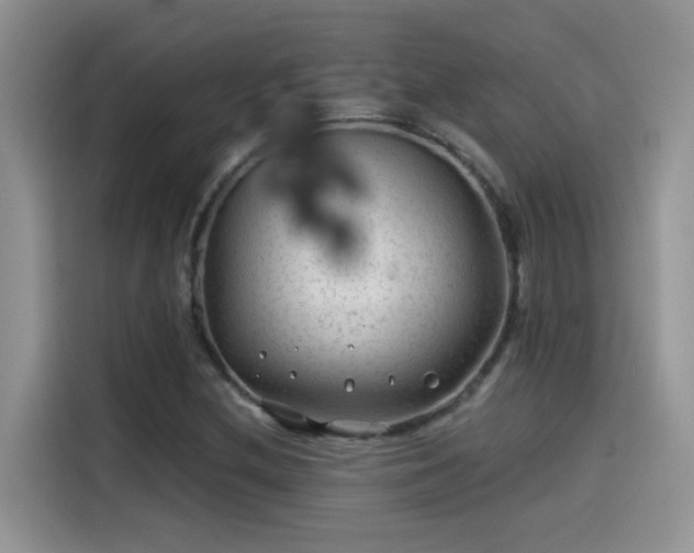 X0000115531212200911131458