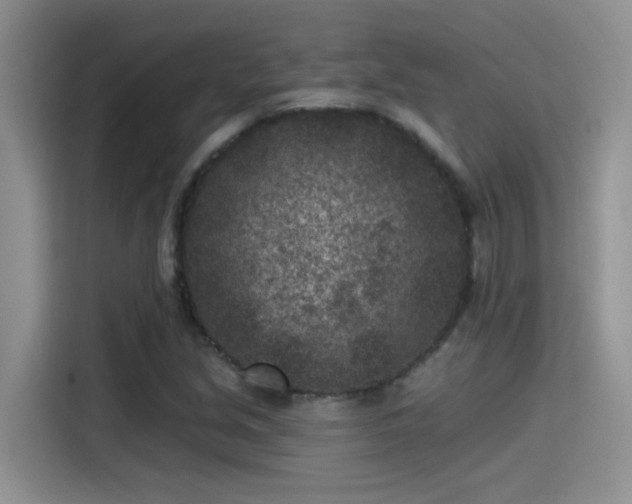 X0000115531213200911131458