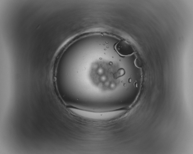 X0000115531216200911131458