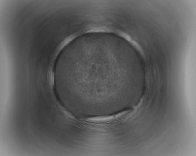 X0000115531221200911131459