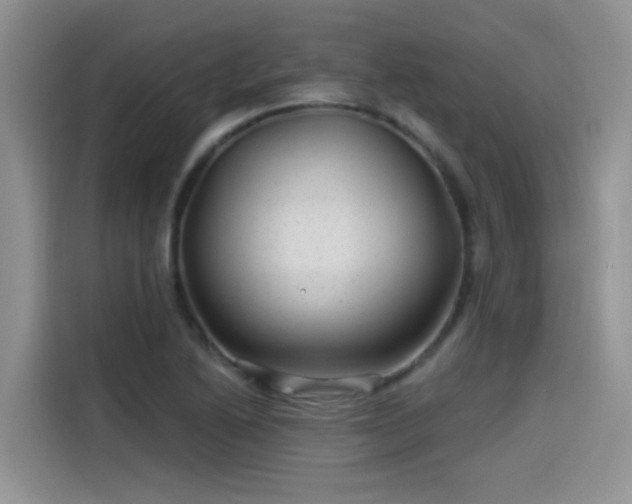 X0000115531222200911131459