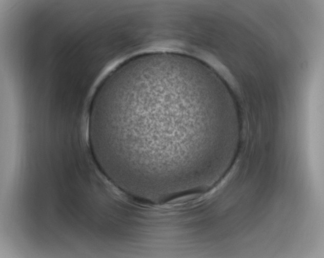 X0000115531224200911131459