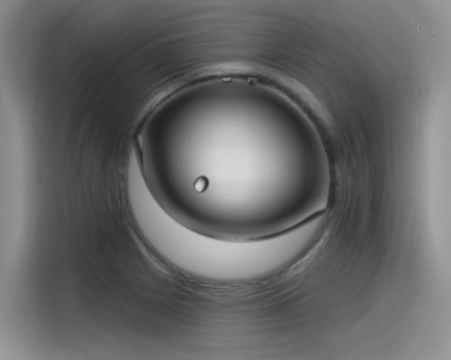 X0000115531225200911131459