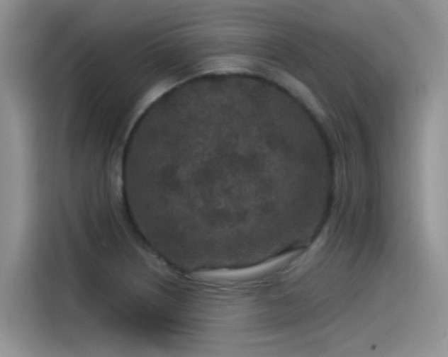 X0000115531226200911131459