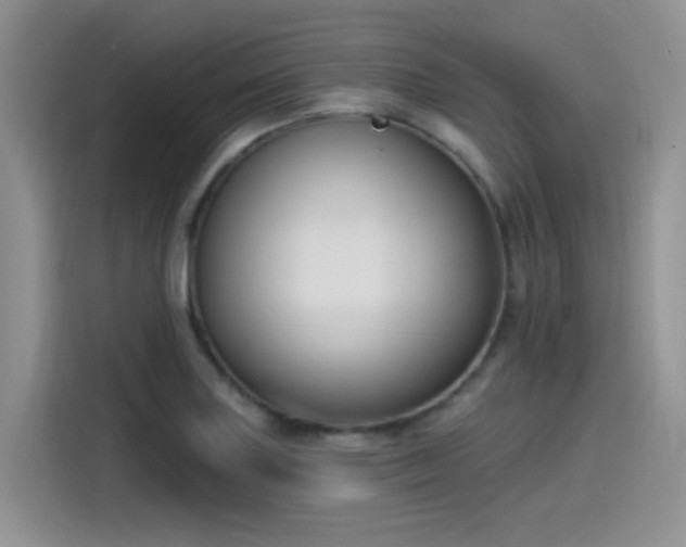 X0000115531227200911131459