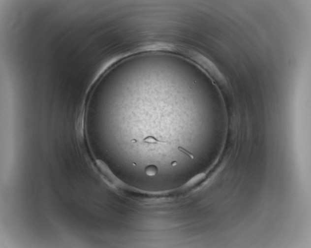 X0000115531228200911131459