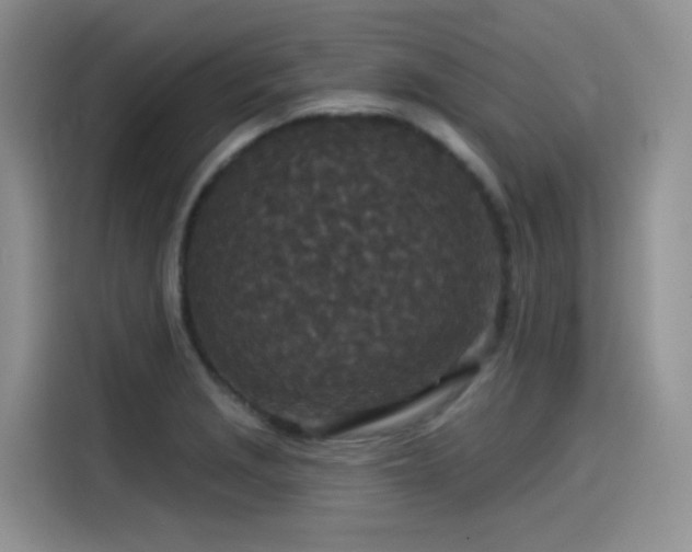 X0000115531229200911131459