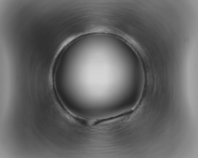 X0000115531230200911131459