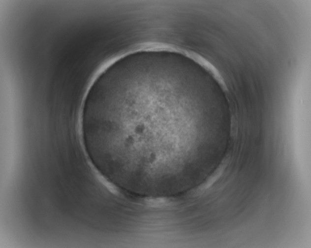 X0000115531231200911131459