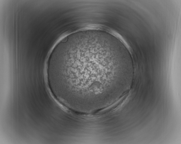 X0000115531235200911131459