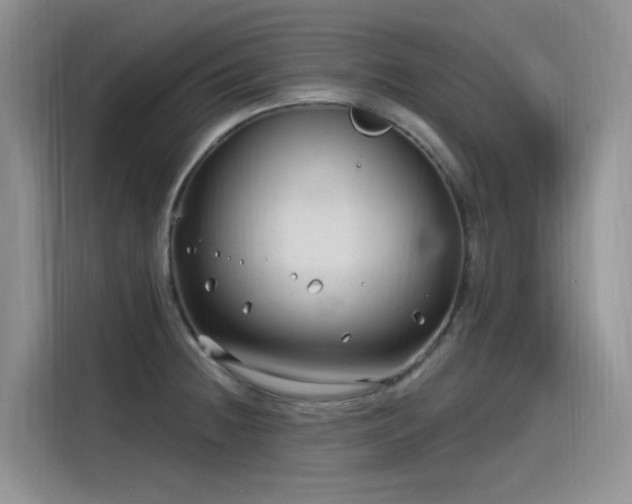 X0000115531236200911131459