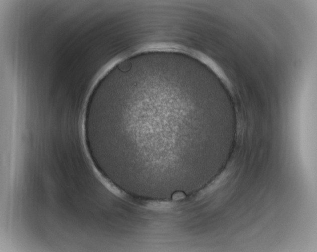 X0000115531237200911131459