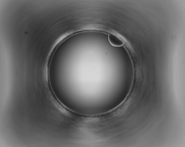 X0000115531238200911131459