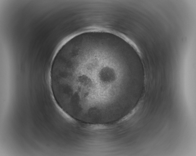 X0000115531239200911131459