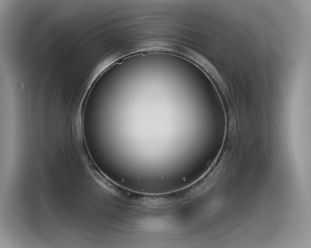 X0000115531242200911131459