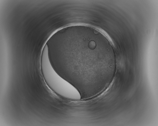 X0000115531244200911131459