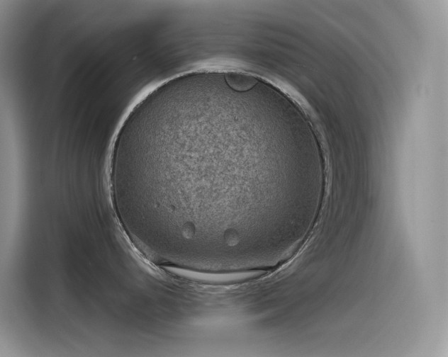 X0000115531248200911131459