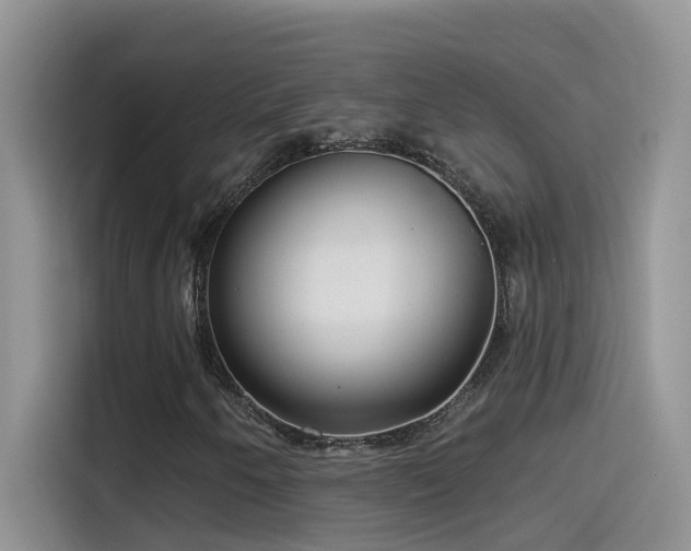 X0000115531250200911131458