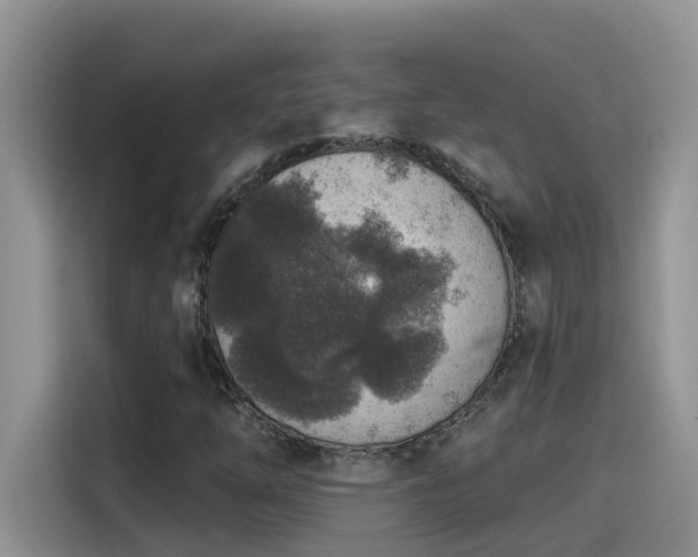 X0000115531254200911131458