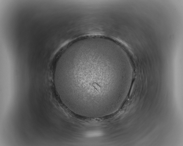 X0000115531255200911131458