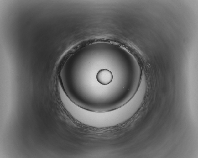 X0000115531256200911131458