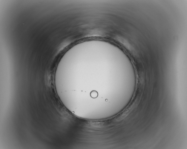 X0000115531258200911131458