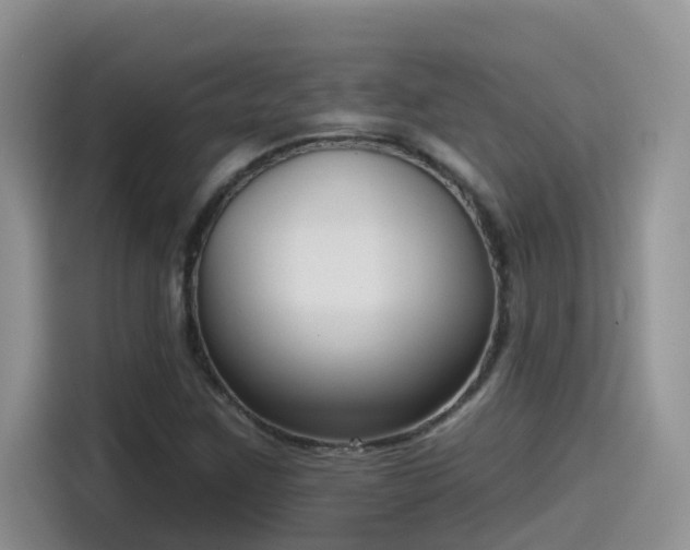 X0000115531259200911131458