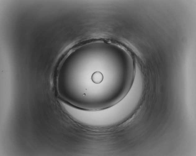 X0000115531261200911131458