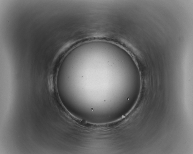 X0000115531262200911131458