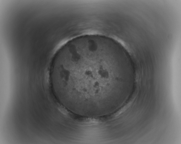 X0000115531263200911131458