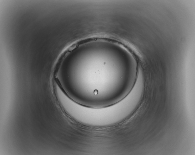 X0000115531264200911131458