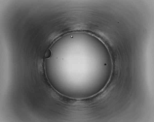 X0000115531265200911131458