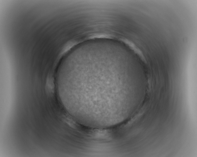 X0000115531266200911131458