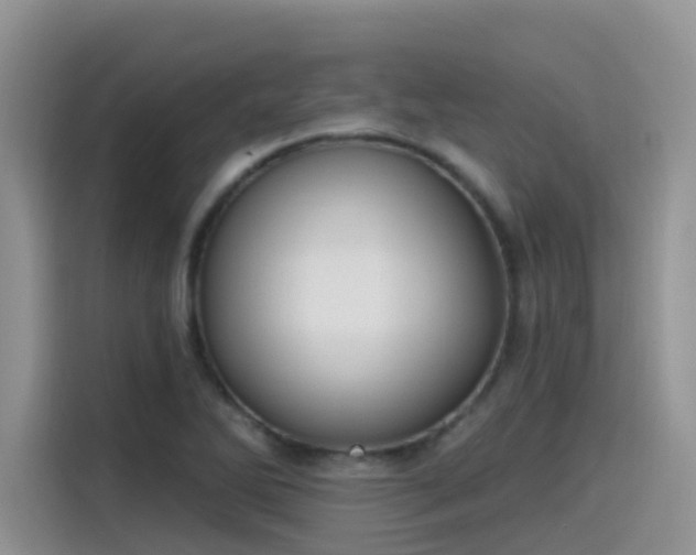 X0000115531270200911131458