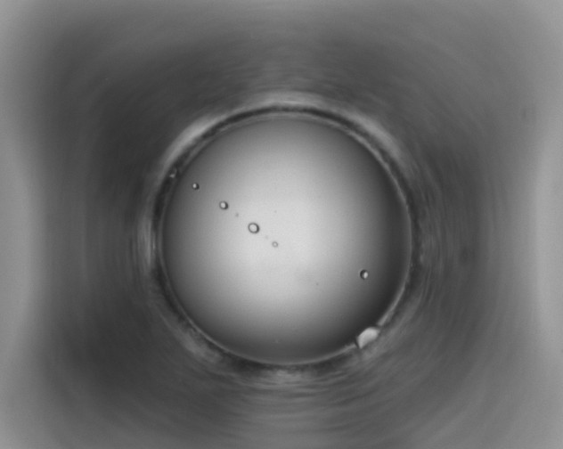 X0000115531271200911131458