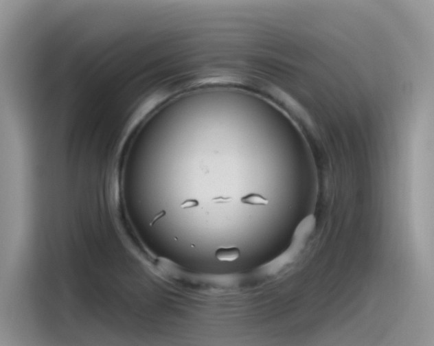 X0000115531274200911131458