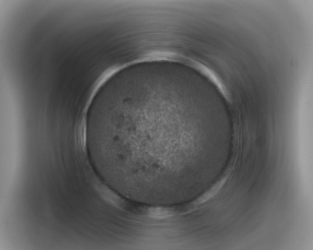 X0000115531275200911131458