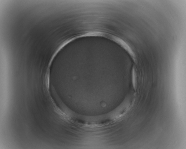 X0000115531276200911131458