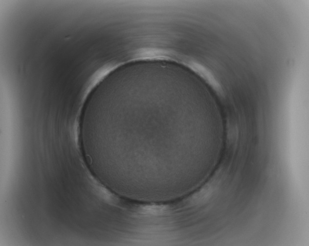 X0000115531277200911131458