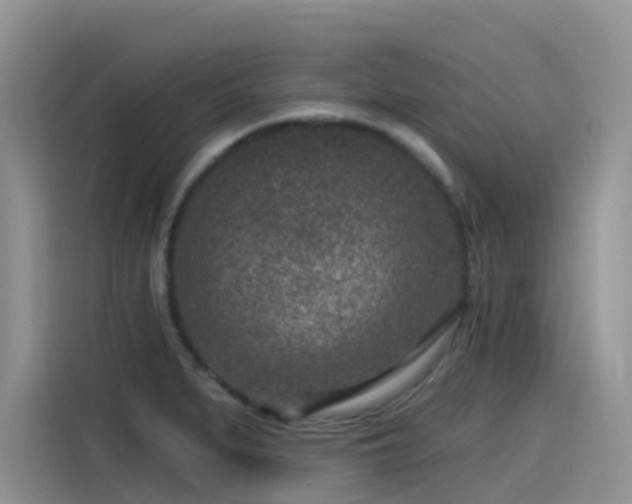 X0000115531279200911131458