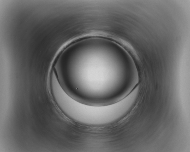 X0000115531280200911131458