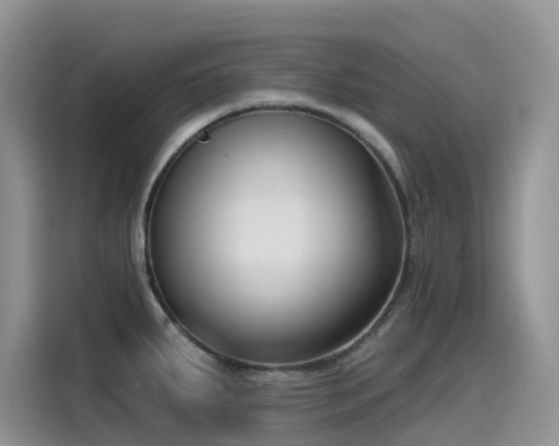 X0000115531287200911131458