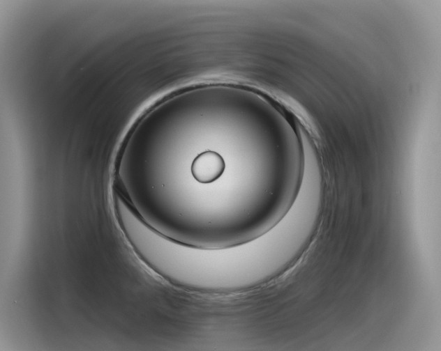 X0000115531288200911131458