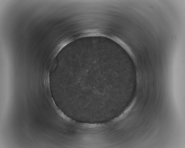 X0000115531289200911131458