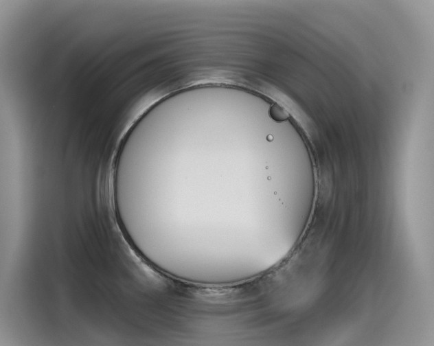 X0000115531290200911131458