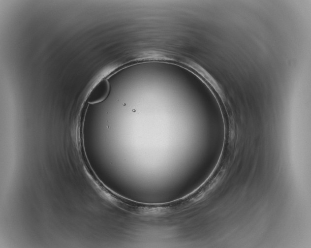 X0000115531293200911131458