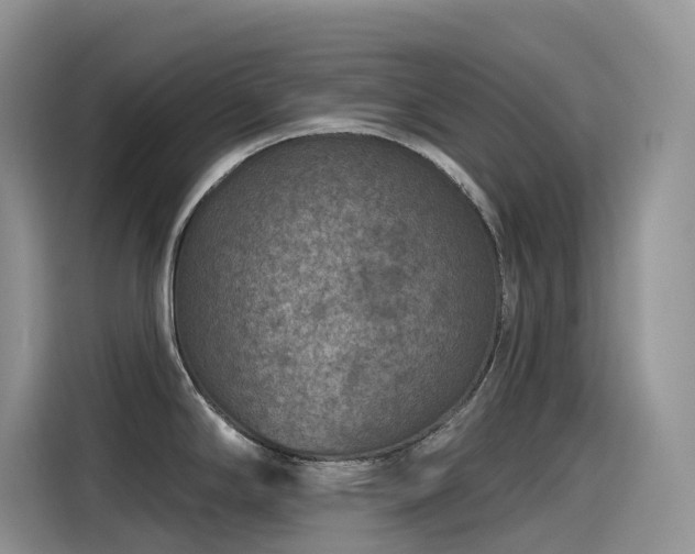 X0000115531294200911131458